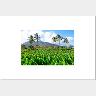 Tropical Plantation Maui Study 32 Posters and Art